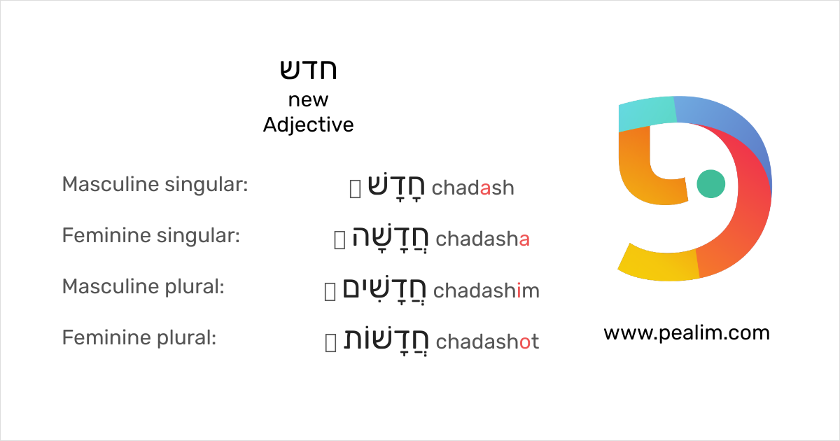Chadic Language Table חדש – new – Hebrew conjugation tables