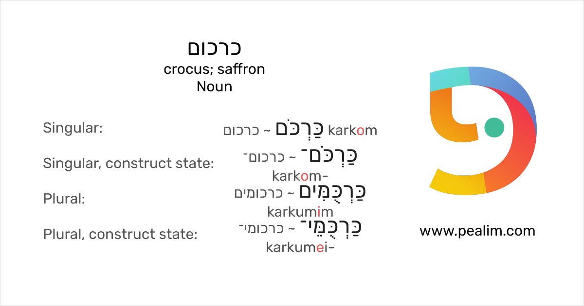 כרכום crocus; saffron Hebrew conjugation tables