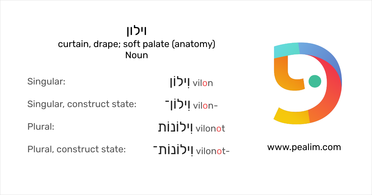 וילון curtain, drape; soft palate (anatomy) Hebrew conjugation tables