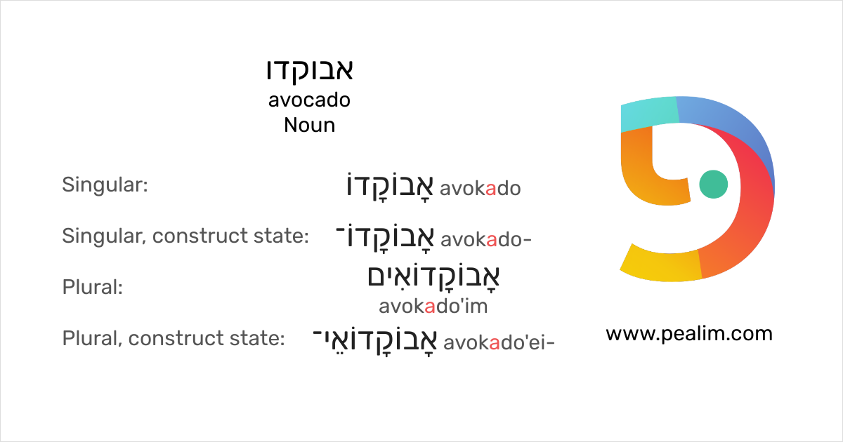 אבוקדו 🥑 avocado Hebrew conjugation tables