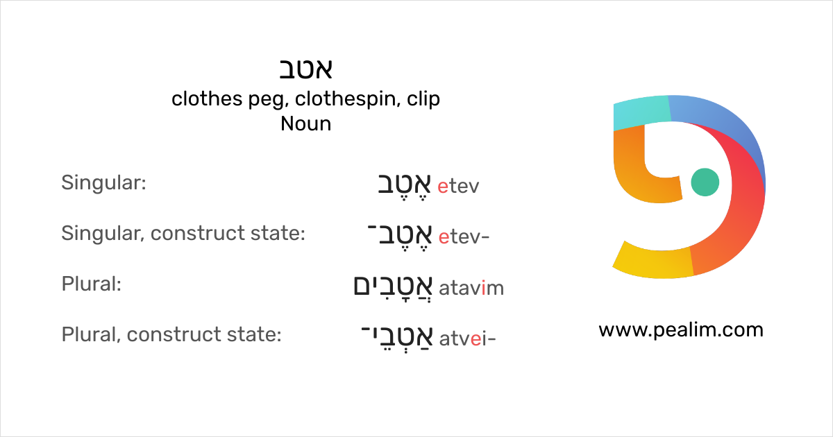 אטב clothes peg, clothespin, clip Hebrew conjugation tables