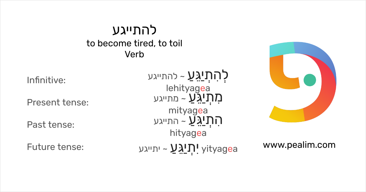 להתייגע to tired, to toil Hebrew conjugation tables