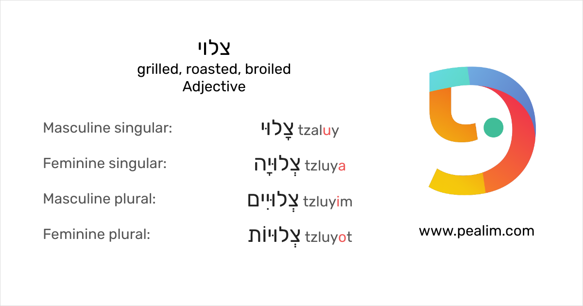צלוי grilled, roasted, broiled Hebrew conjugation tables
