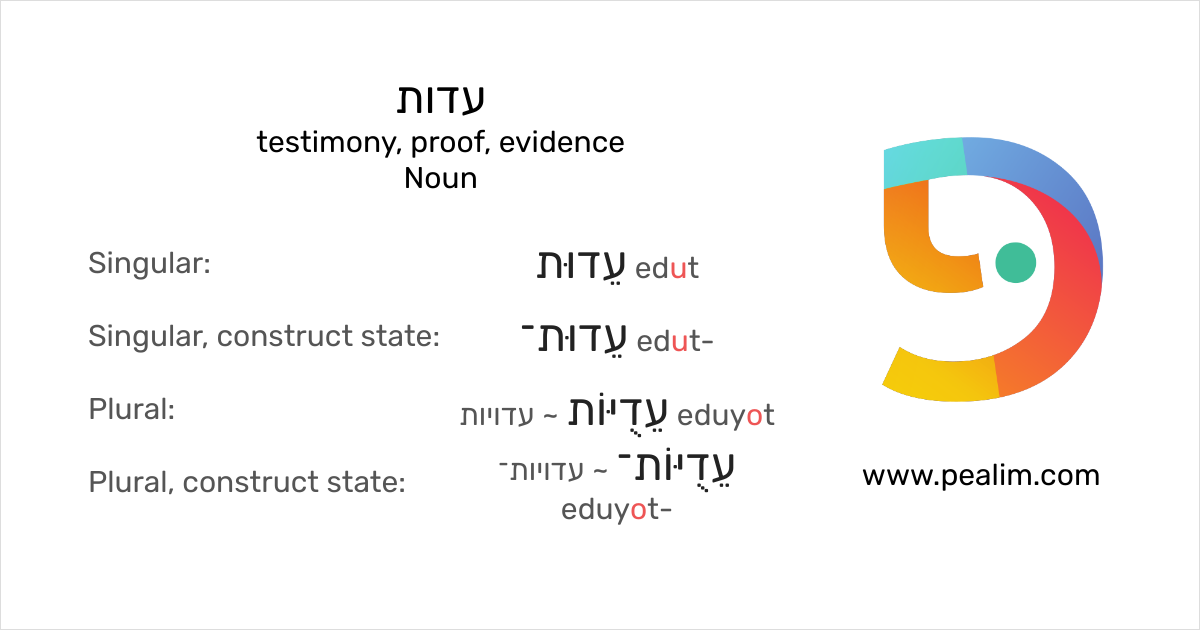 עדות testimony, proof, evidence Hebrew conjugation tables
