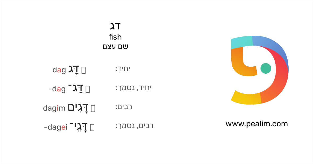Dagin דג – fish – טבלאות הנטייה בעברית