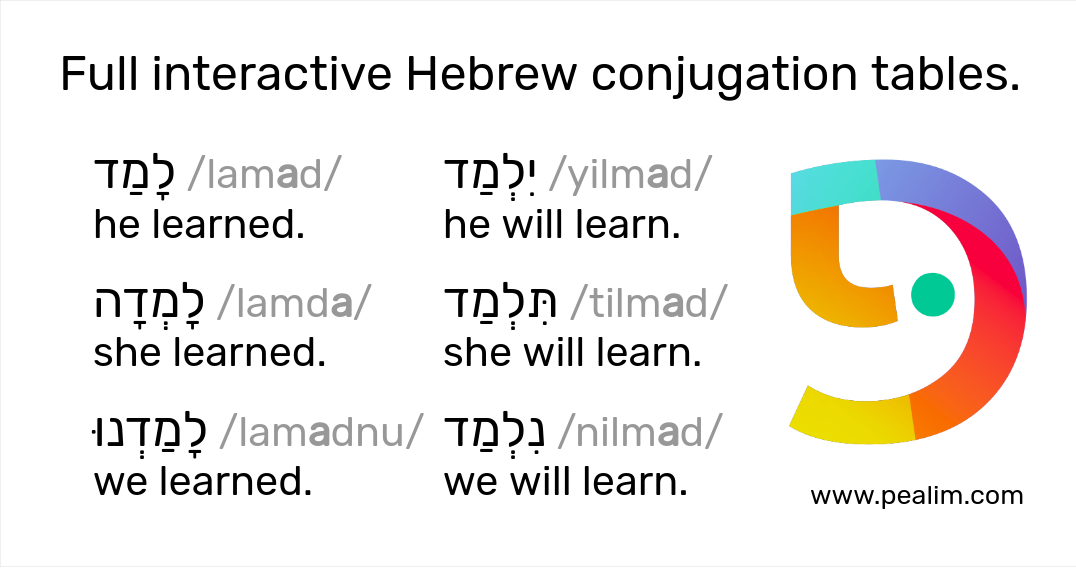 Hebrew Verb Conjugation Chart