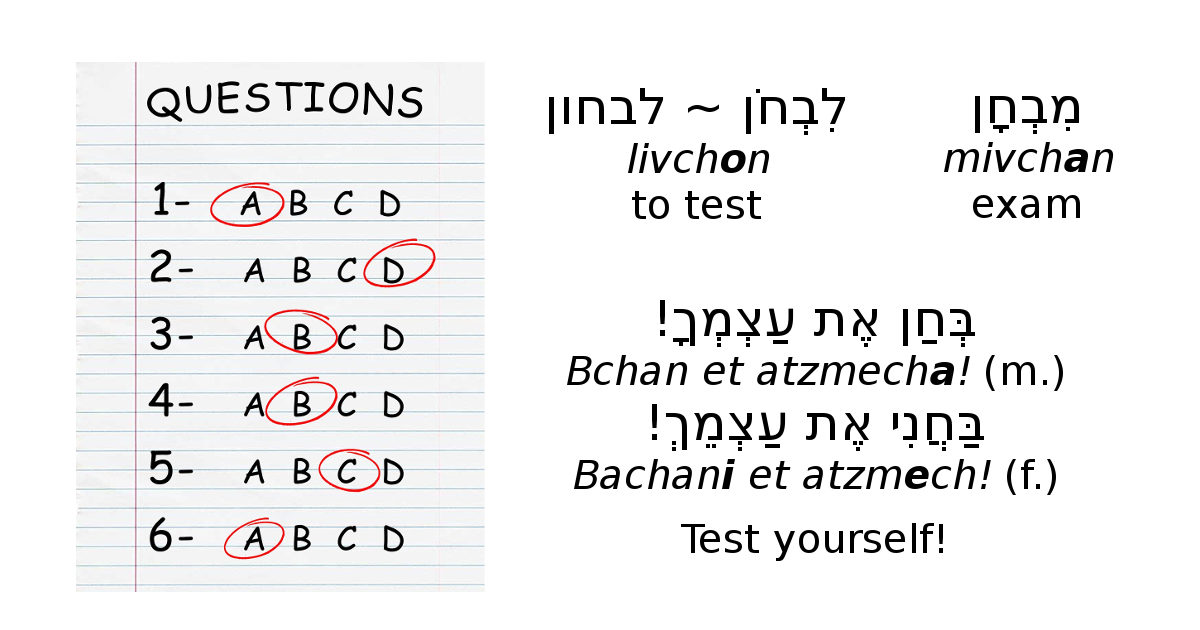 Word of the day לבחון to test Hebrew conjugation tables